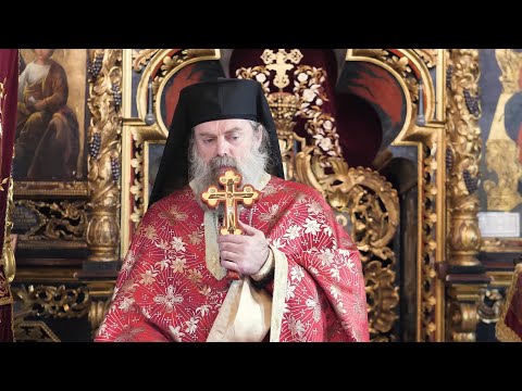 Sf. M. Mc. Dimitrie, Izvorâtorul de mir - Predică a Arhim. Nicodim Petre (2021)