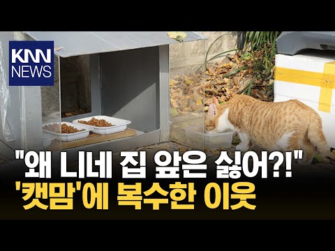 "너네 집은 싫고 우리 가게는 괜찮냐?"...사이다 복수한 사장님 / KNN
