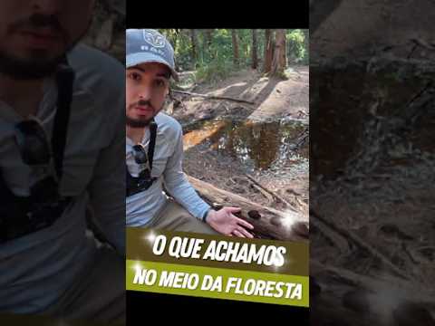 O QUE ACHAMOS NO MEIO DA FLORESTA | Vídeo completo na BIO! #pesca  #floresta  #eua  #florida