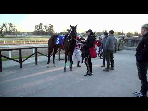 HIPODROMO LAS PIEDRAS 19 DE AGOSTO 2022- WWW.MARONASONLINE.COM