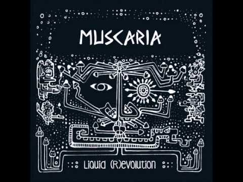 Muscaria - Crepuscular