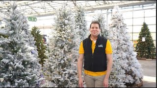 4 Ways to Use Ribbon on a Christmas Tree ENGLISH GARDENS