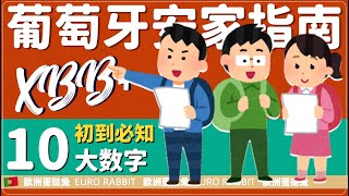 蛋挞兔|XBB 葡萄牙移民安家指南  新移民定居里斯本第一年 一定要知道的十个数字「葡萄牙Portugal」