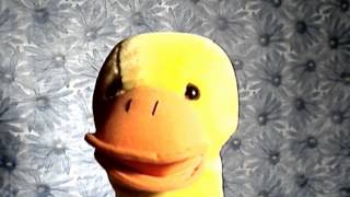 Jessie's Girl - Rick Springfield (Cover) - The Singing Duck of Queens