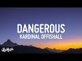 That Girl Is So Dangerous | Kardinal Offishall - Dangerous (Lyrics) ft. Akon