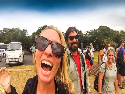 WILD weather, WILD animals and AWESOME people! South Africa! Sailing SV Delos Ep.101