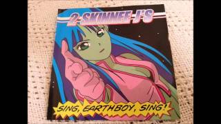 2 Skinnee J&#39;s - BBQ