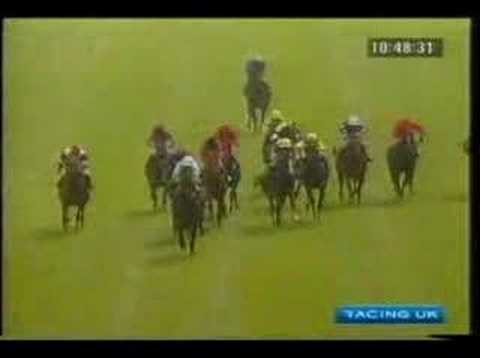 VIKING SPIRIT - Horse Racing