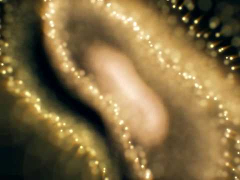 Video thumbnail for Spaced + Dissonant