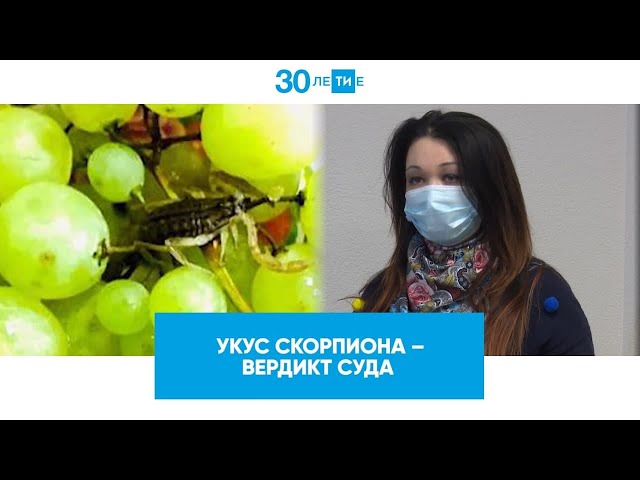 Дело о скорпионе в винограде - суд вынес решение