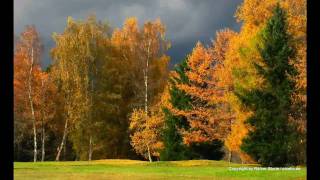 Ave Maria der Heimat - Kastelruther Spatzen Cover - Inge Wendling