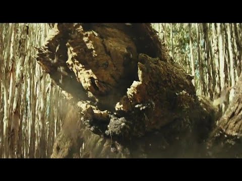 Spore Mantis Explained