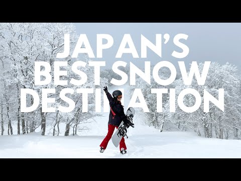 Is This Japan's Best Snow Destination? Myoko Kogen Japan Snow Guide