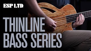 Video thumbnail for ESP LTD Thinline Bass Series - 5 string & Fretless Introduced by ESP Guitars Australia