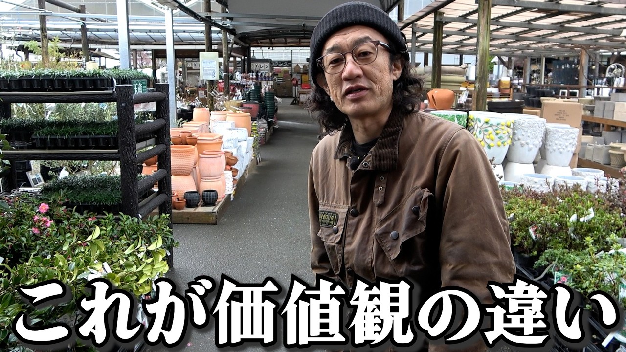 そりゃ合わないよね【カーメン君】【園芸】【ガーデニング】