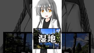 ある怒りの効用【ショート虚言】 #shorts #vtuber