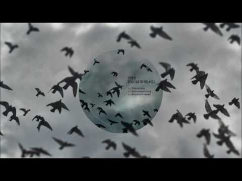 The Promises - Bomberherzen (Original Mix)