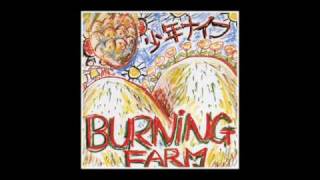 Shonen Knife - Tortoise Brand Pot Cleaners Theme from Burning Farm