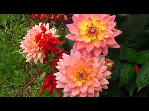 So läuft die Ausgabe der blauen Uniform in München - 110-Das Polizeimagazin