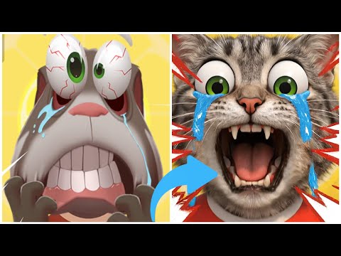 Talking Tom Cat 2026 in Real Life Part 1
