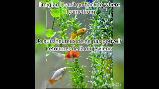 Bradley Cooper "maybe it's time" lyric  anglais-français