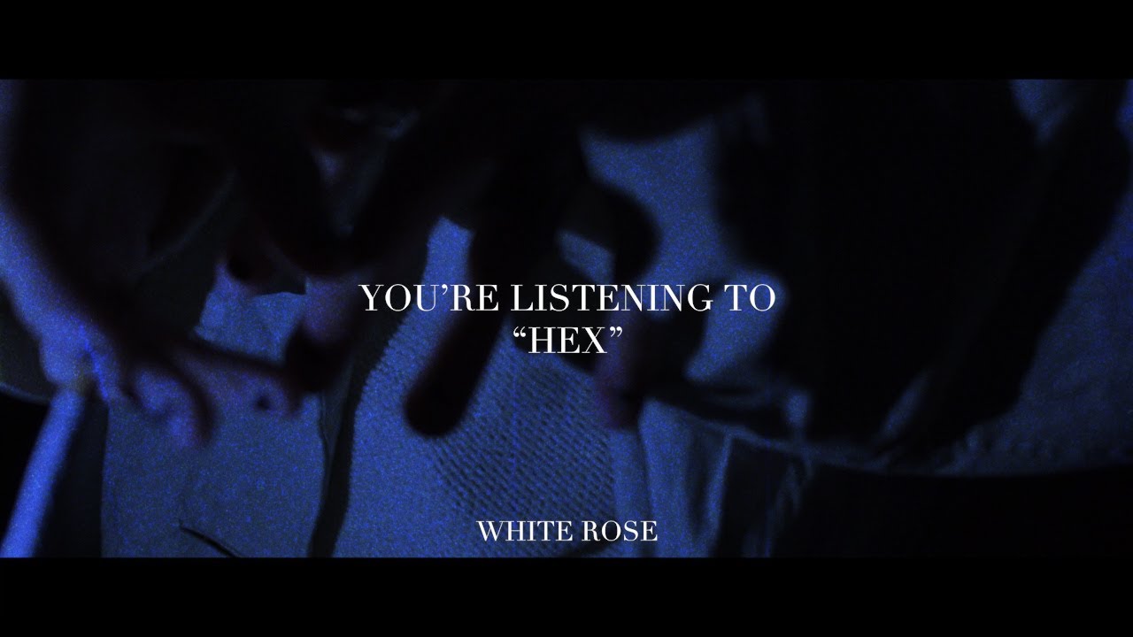 White Rose - HEX