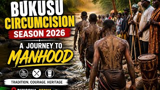Download lagu BUKUSU TRADITIONAL CIRCUMCISION SEASON 2026 | Bungoma, Kenya 🇰🇪 mp3