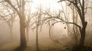 If You Believe - Rachael Lampa