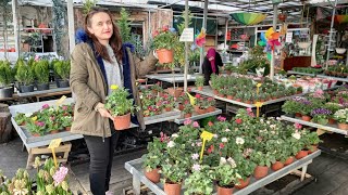 ÇİÇEKLER ÇOK UCUZ 😮 ÇİÇEKÇİ 🍃 ÇİÇEK MARKET 🌹 ÇİÇEK FİYATLARI 🍃 SAKSILA