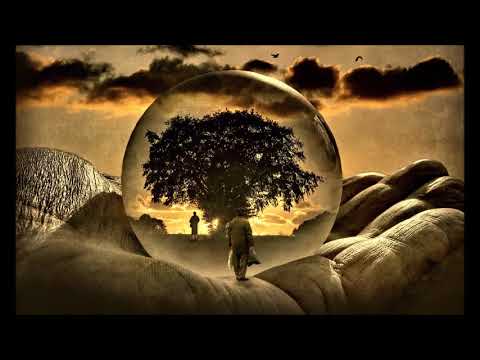 Shôn  - Je to jen v nás