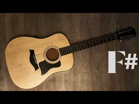 12-String Guitar Open D Tuning ♫