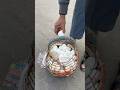 Hardworking Uncle Selling Boiled Egg In Kolkata Shorts