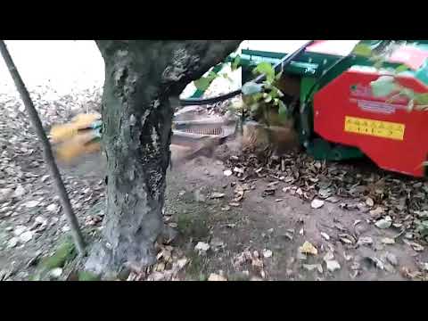 Poland hazelnuts-Giampi machinery star 2000-mechanical version