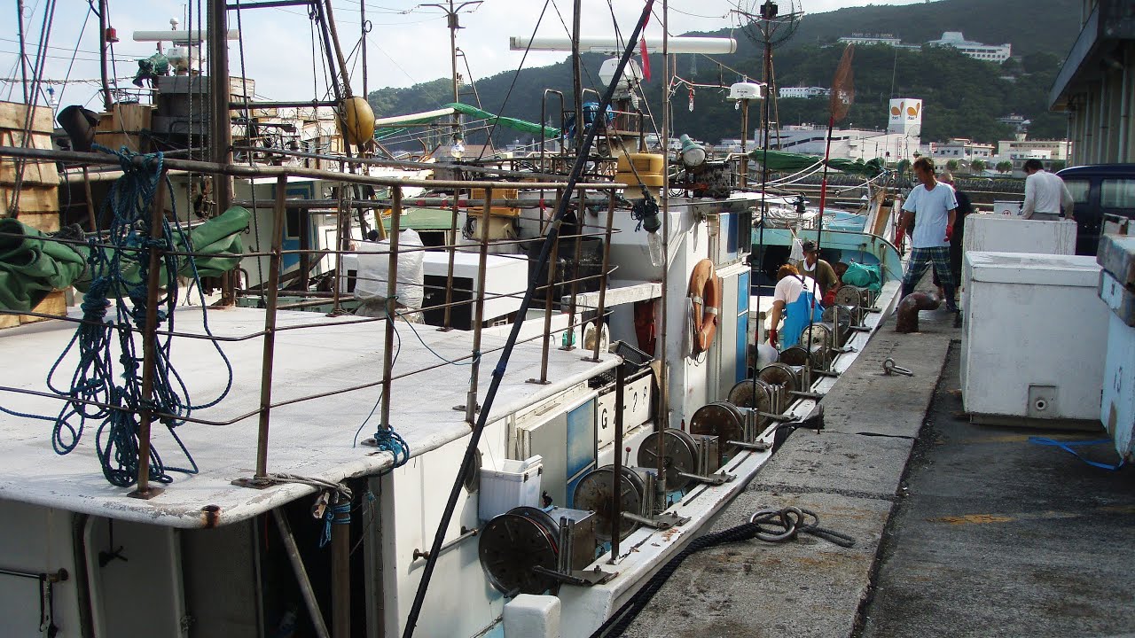 After the Fishing – What the Sea Remembers