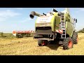 AGRO GÁRDA ZRT CLAAS LEXION CLAAS TUCANO JOHN DEERE 8270 Aratás
