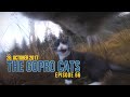 Cat With GoPro Big Fight And Mouse Catch Ep 66