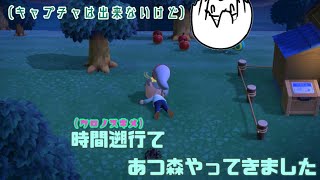 画面はお見せできないもののあつ森島公開配信