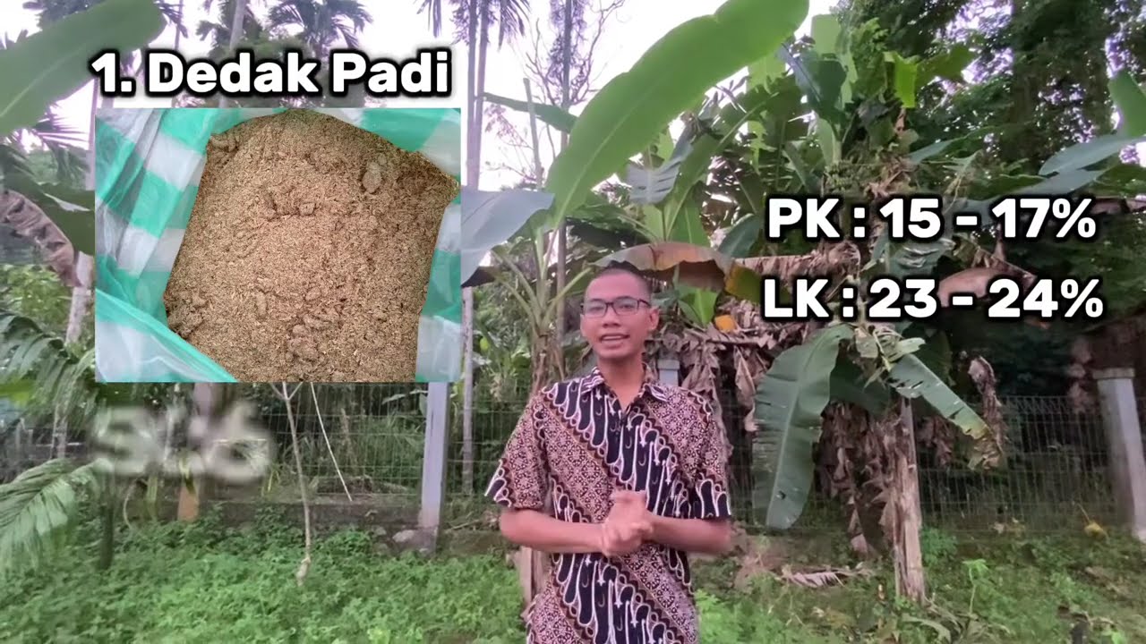 Berbagai bahan pakan serta sumber energi dan protein ternak