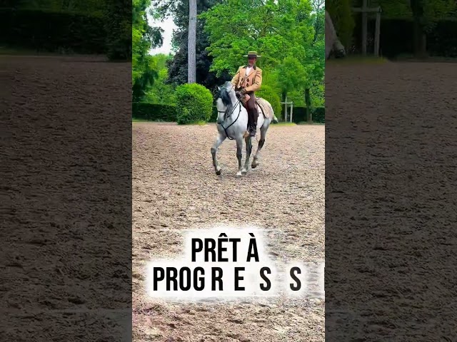 COACHING PRIV&Eacute; &ndash; DRESSAGE, &Eacute;QUITATION DE L&Eacute;G&Egrave;RET&Eacute; 