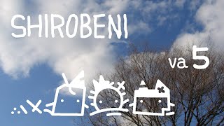 自然観賞。空を見上げて、雲を見て・・・。（va5）
