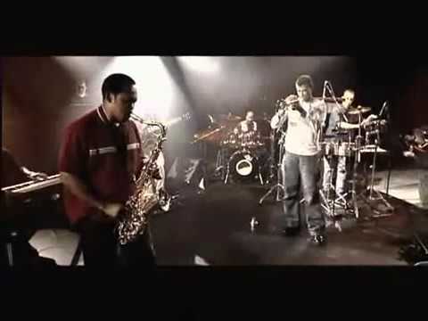 St Germain - Rose rouge