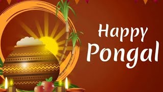 Happy Pongal 2022|Wishes|Greetings|பொங்கல்|14th January 2021|Pongal special|(pongal greetings video)
