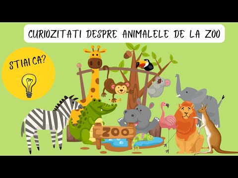 Curiozitati despre animalele salbatice de la Zoo | Stiai ca?  despre animale salbatice