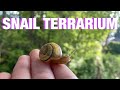 How to Make a Snail Terrarium at Home