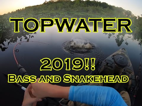 TOPWATER HITS 2019 BASS and SNAKEHEAD (FULL Version)