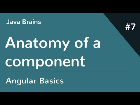 Angular 6 Basics 7 - Anatomy of a component