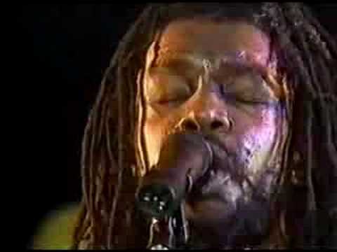 peter tosh - bush doctor [ 83 holland ]