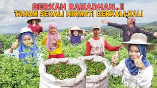 Download lagu BERKAH RAMADHAN..!! TANAM SEKALI NIKMATI BERKALI-KALI mp3