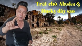 Anh Áo Đen truy tìm 
