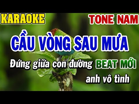 Karaoke Cầu Vòng Sau Mưa Tone Nam | Karaoke Beat | 84